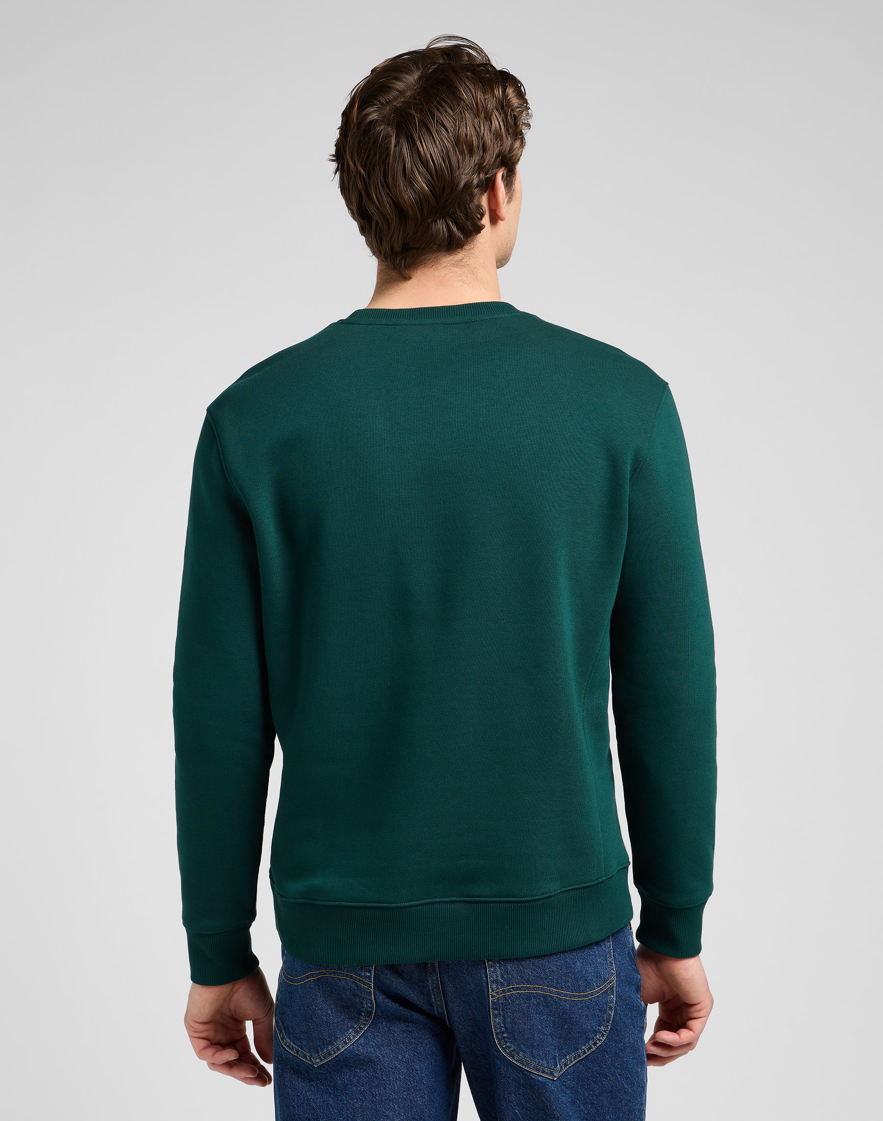 Patch Crew Sws in Jade Forest Sweatshirts Lee