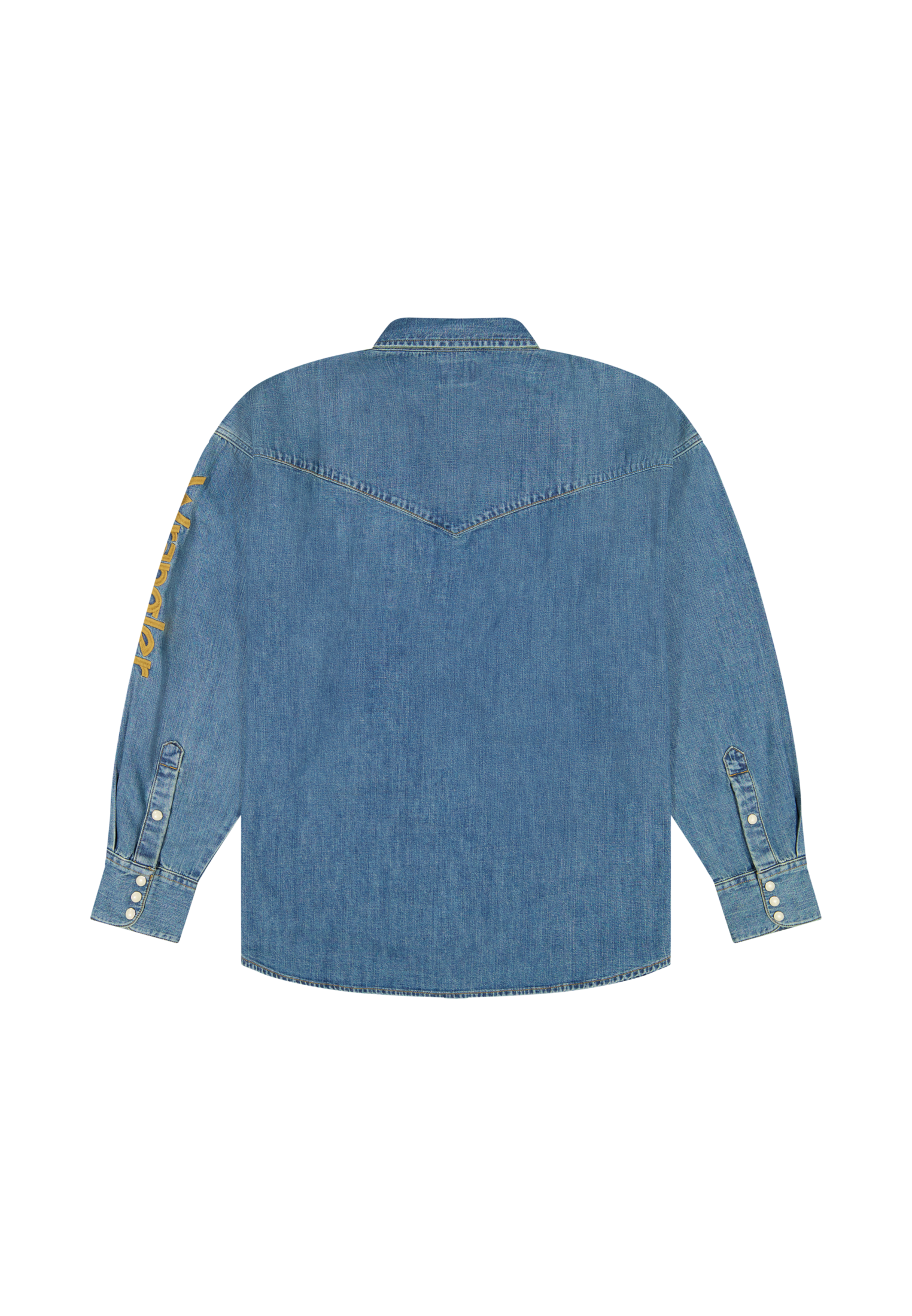 Western Shirt in Trail Blazer Hemden Wrangler