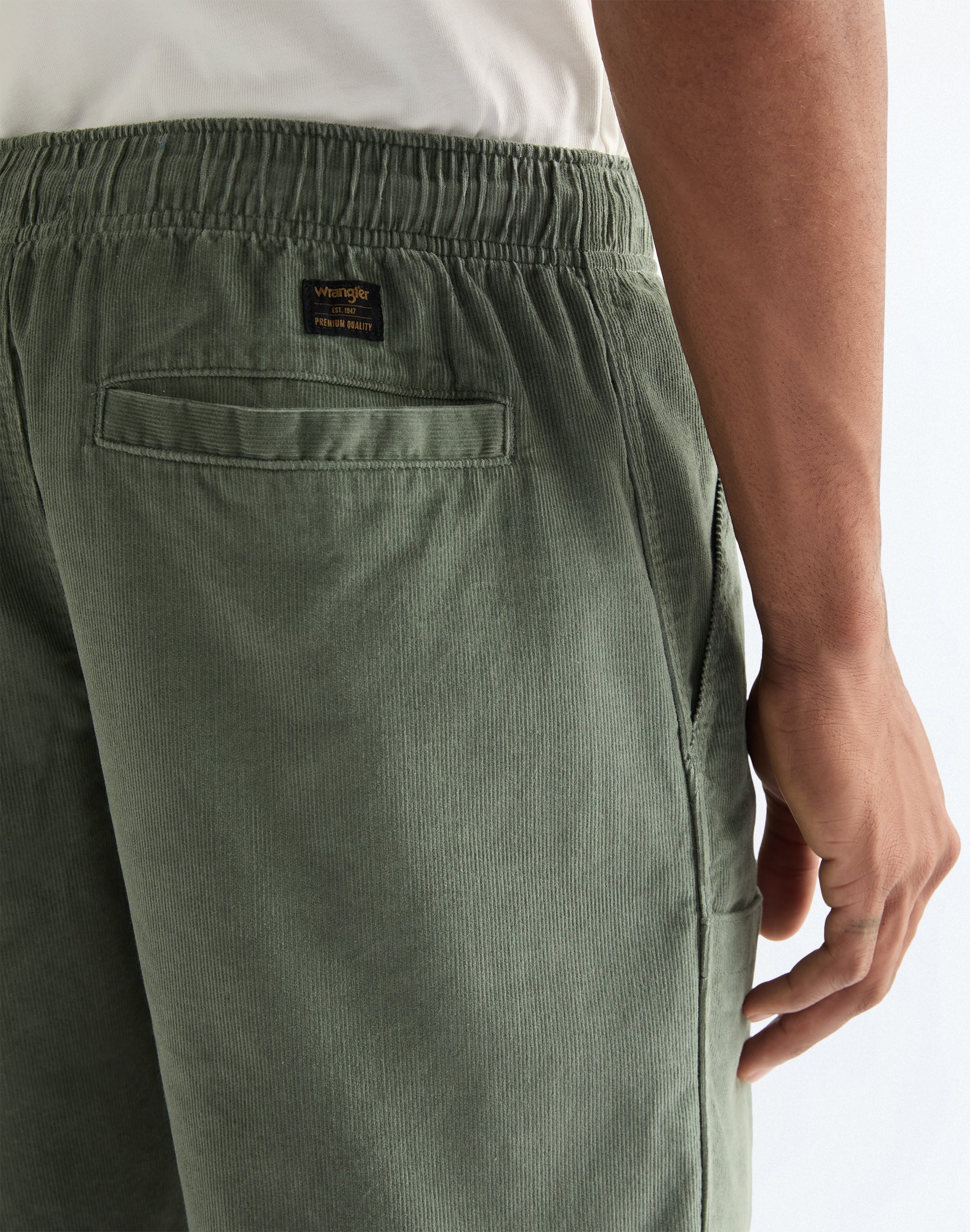 Vinla Shorts in Agave Green Shorts Wrangler