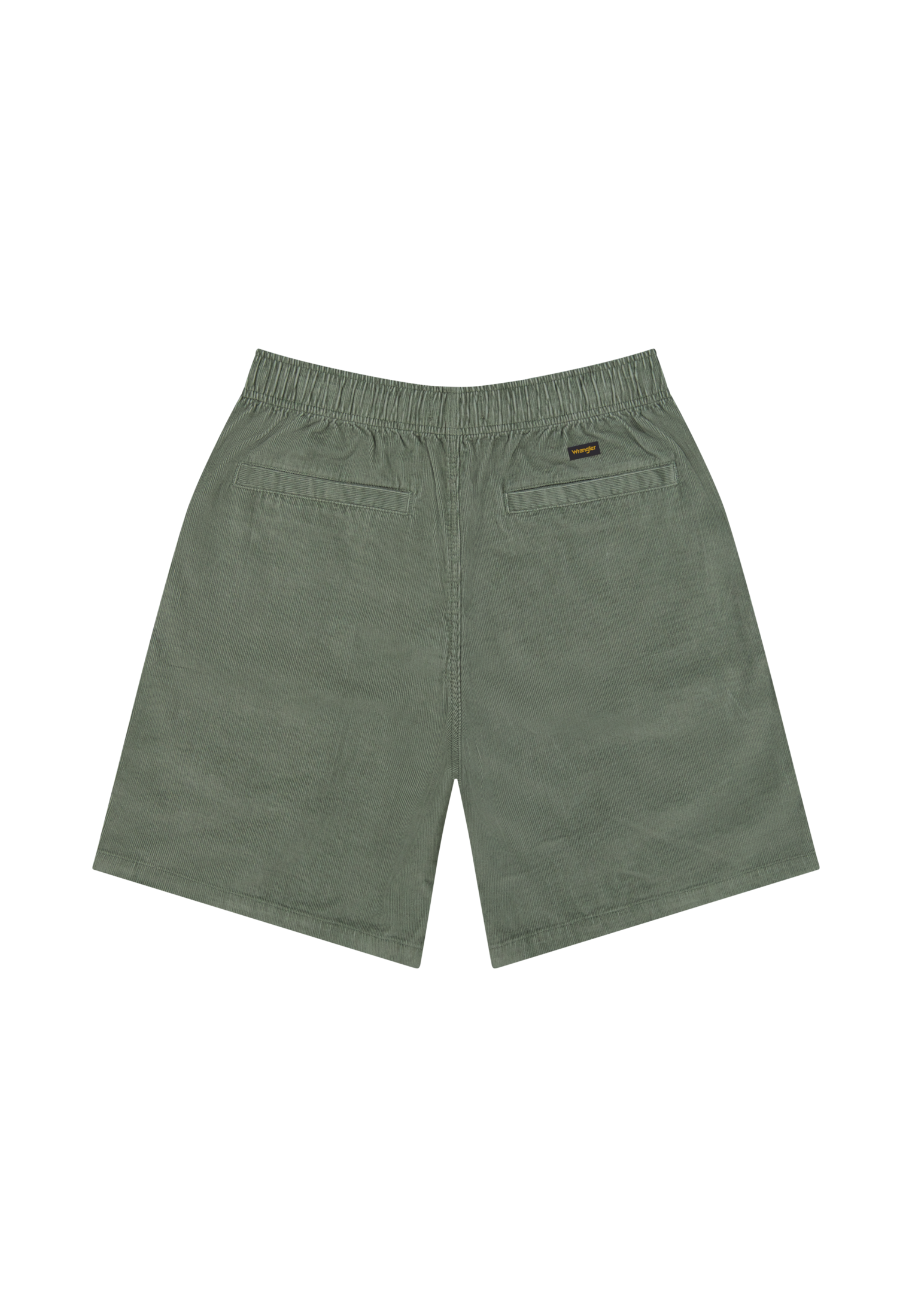 Vinla Shorts in Agave Green Shorts Wrangler